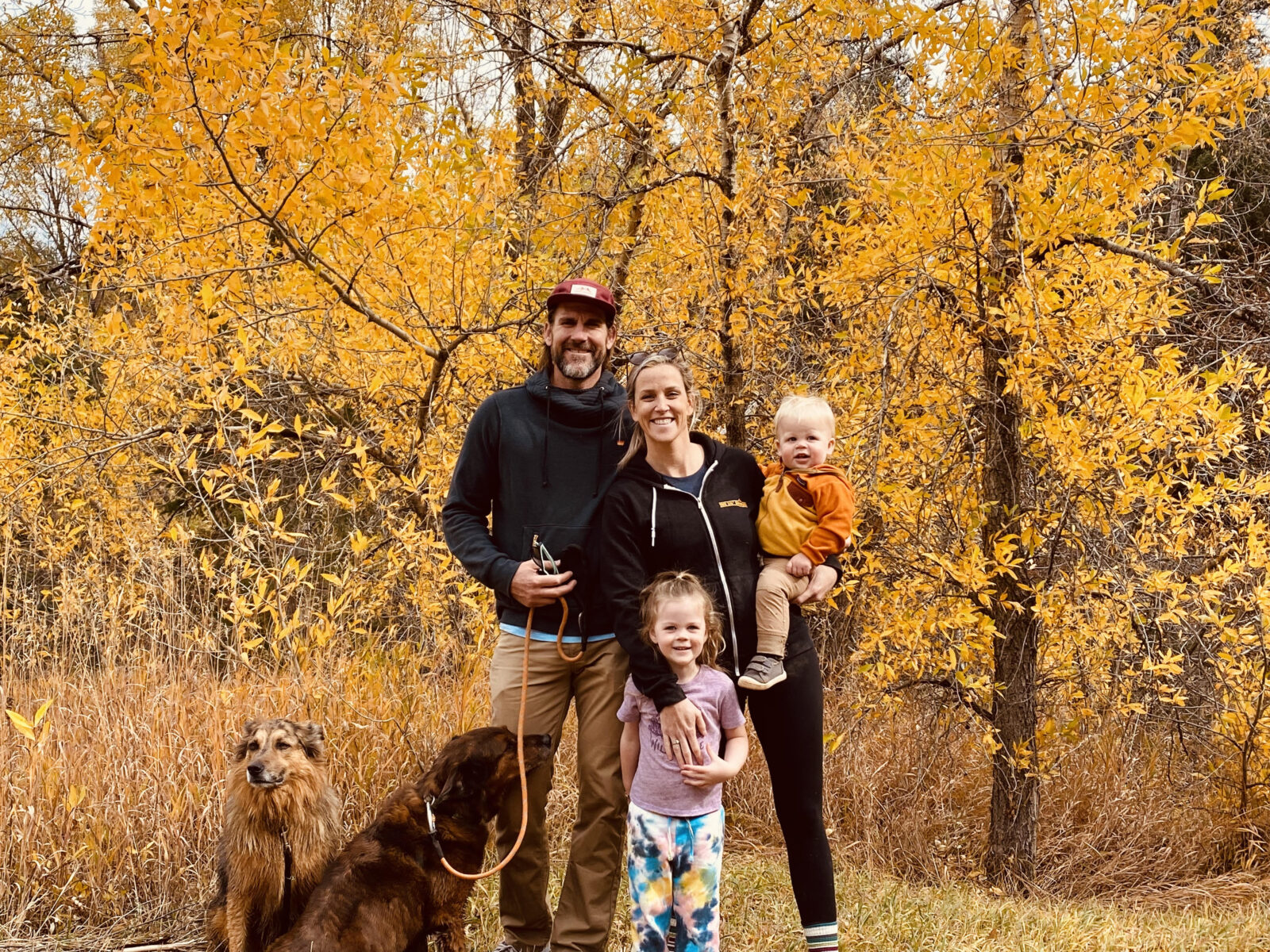 Painters House Painters North Light Painting